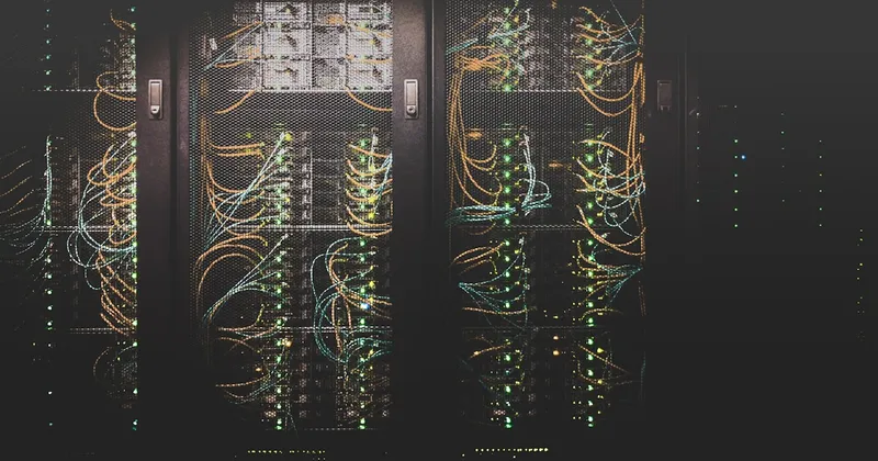 Network patch panel and cables suggesting routed, typed decision paths